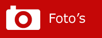 Foto's